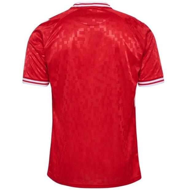 (image for) Denmark Home Jersey Euro 2024